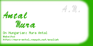 antal mura business card